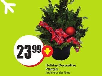 FreshCo Holiday decorative planters offer