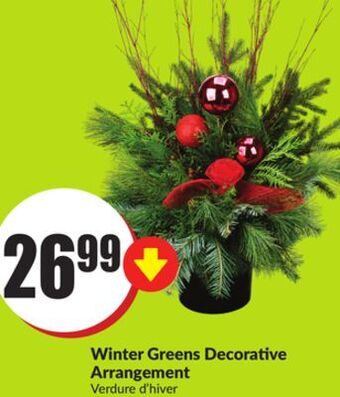 FreshCo Winter greens decorative arrangement offer