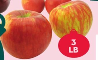Giant Tiger 3 lb. honeycrisp apples offer