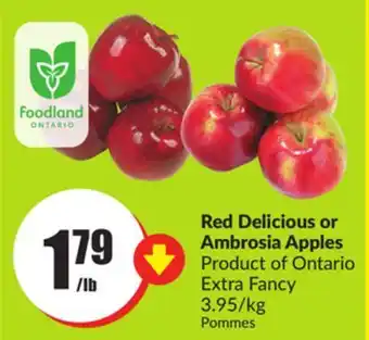 Chalo FreshCo Red delicious or ambrosia apples product of ontario extra fancy 3.95/kg offer