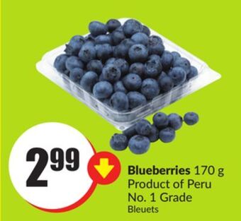 Chalo FreshCo Blueberries 170 g product of peru no. 1 grade offer