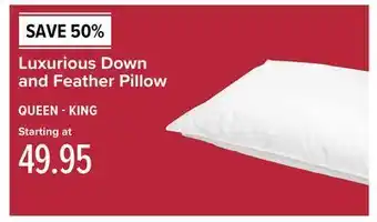 Linen Chest Luxurious down and feather pillow queen-king offer