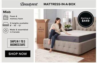 Linen Chest Mattress-in-a-box offer