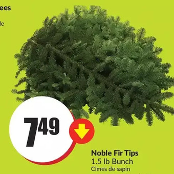 FreshCo Noble fir tips offer
