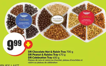 FreshCo Dr chocolate nut & raisin tray | dr peanut & raisins tray | dr celebration tray offer