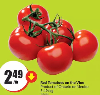 FreshCo Red tomatoes on the vine offer