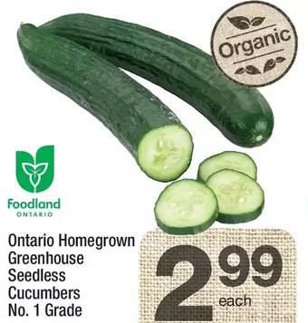 Highland Farms Ontario homegrown greenhouse seedless cucumbers offer