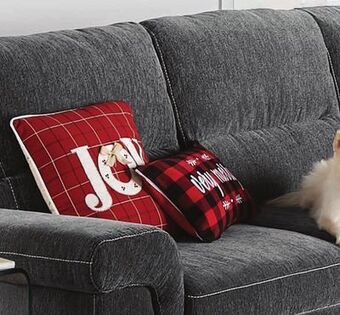 Leon's Serafina 4-piece sectional with left facing pop-up bed - charcoal offer