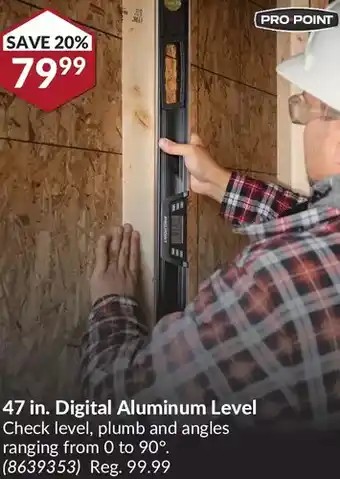 Princess Auto Pro.point 47 in. digital aluminum level offer