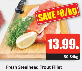 Starsky Fresh steelhead trout fillet offer