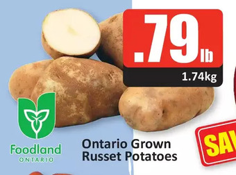 Starsky Ontario grown russet potatoes offer