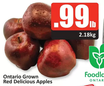 Starsky Ontario grown red delicious apples offer