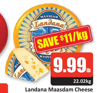 Starsky Landana maasdam cheese offer