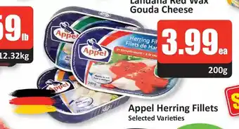 Starsky Appel herring fillets offer