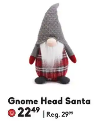 Sheridan Nurseries Gnome head santa offer