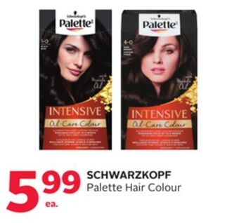 Rexall Schwarzkopf palette hair colour offer