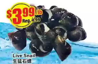 Btrust Supermarket Live snail offer