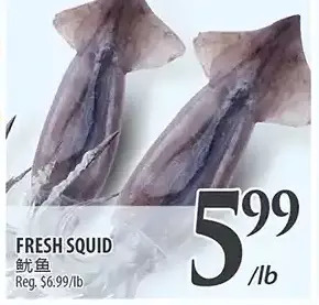 Al Premium Food Mart Fresh squid offer