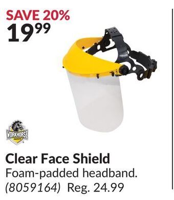 Princess Auto Clear face shield offer