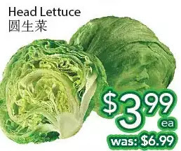 Ample Food Market Head lettuce offer