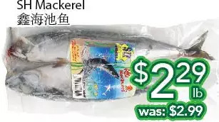 Ample Food Market Sh mackerel offer