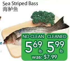 Ample Food Market Sea striped bass offer