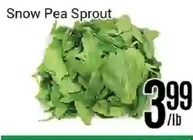 Nations Fresh Foods Snow pea sprout offer