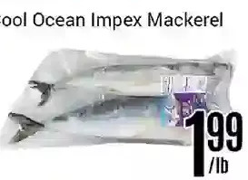 Nations Fresh Foods Cool ocean impex mackerel offer