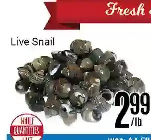 Nations Fresh Foods Live snail offer
