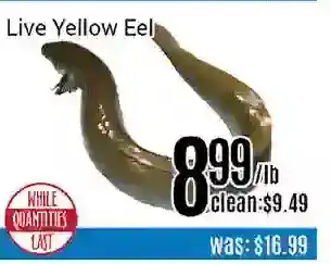Nations Fresh Foods Live yellow eel offer