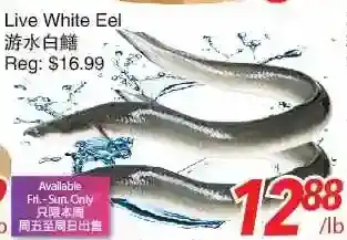 Foody World Live white eel offer
