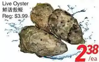 Foody World Live oyster offer