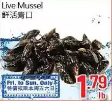 Hong Tai Supermarket Live mussel offer