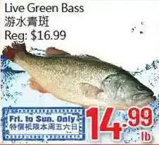 Hong Tai Supermarket Live green bass offer