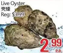 Hong Tai Supermarket Live oyster offer