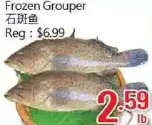 Hong Tai Supermarket Frozen grouper offer