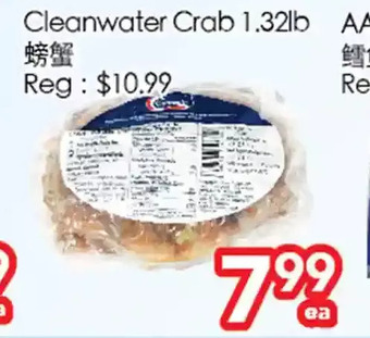 Cleanwater crab