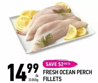 Fresh ocean perch fillets