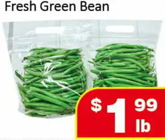 Fresh Green Bean