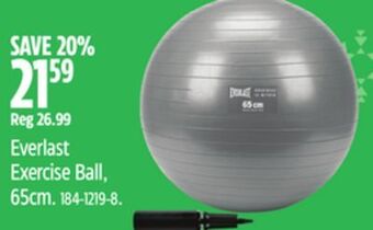 Canadian Tire Everlast exercise ball,65cm offer