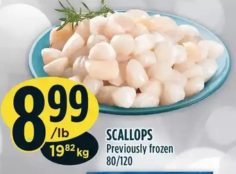 Marché Adonis Scallops offer