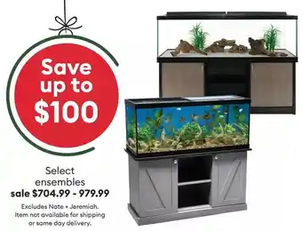 Petsmart Select ensembles offer