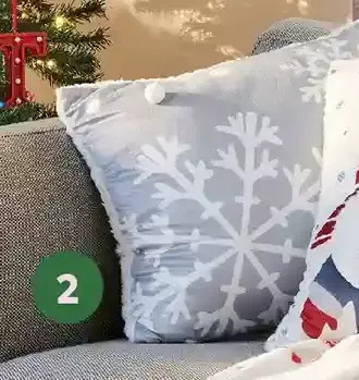 Giant Tiger Cushion offer