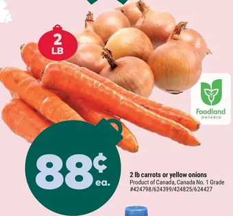 Giant Tiger 2 lb carrots or yellow onions offer