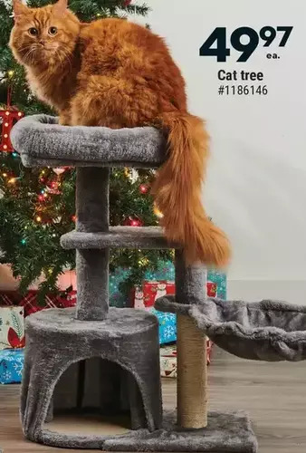Giant Tiger Cat tree offer