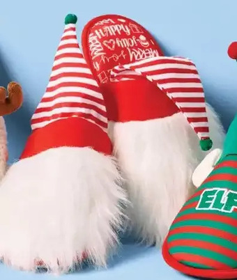 Giant Tiger Women's slippers offer