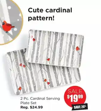 Kitchen Stuff Plus Cardinal serving plate set offer