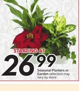Sobeys Seasonal planters or garden offer
