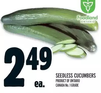 Metro Seedless cucumbers offer