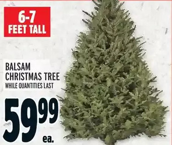 Metro Balsam christmas tree offer